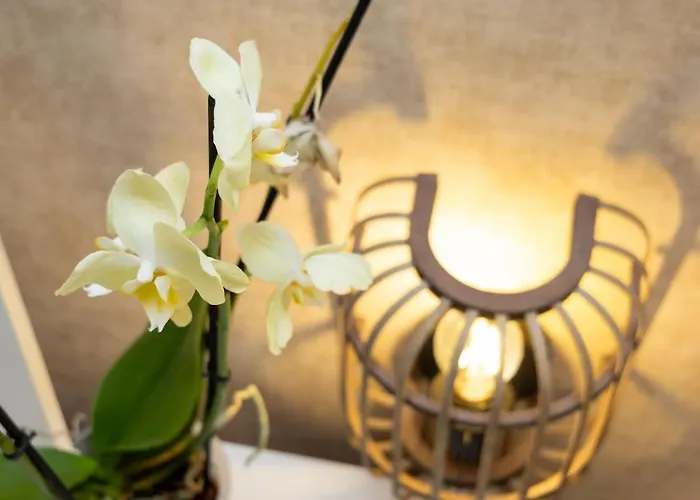 Citrus Residence, Serene Lemon Blossom Holiday home